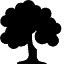 Plants-Deciduous-Tree-icon