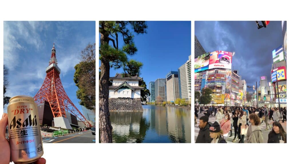Während meines Aufenthalts in Tokyo habe ich das heimische Asahi Bier probiert. In den japanischen Getränkekonzern mit Brauereien in Europa bin ich auch selbst investiert. (Eigene Aufnahmen)